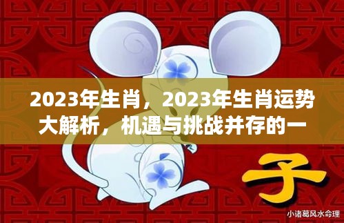 2023年生肖运势大解析，机遇与挑战并存的一年