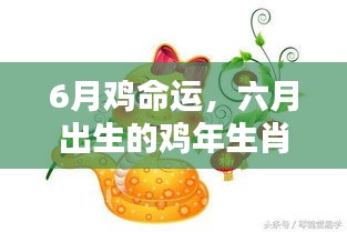 六月出生的鸡年生肖命运解析，如何大放异彩？