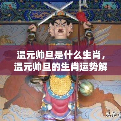 温元帅旦的生肖及运势解析