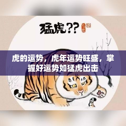 虎年运势旺盛，掌握好运如猛虎出击的秘诀