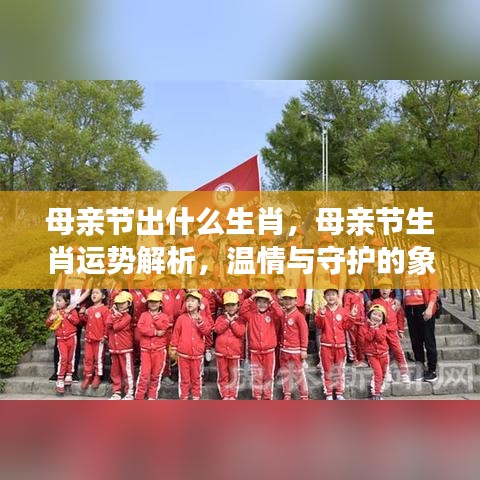 母亲节生肖运势解析，温情守护的象征与生肖运势揭秘