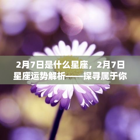 2月7日星座运势解析，探寻属于你的星座秘密与运势展望