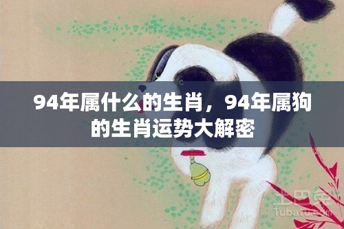 揭秘，1994年属狗的生肖运势全面解析