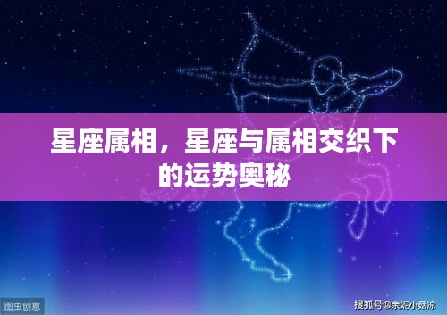 星座属相交织下的运势奥秘探索