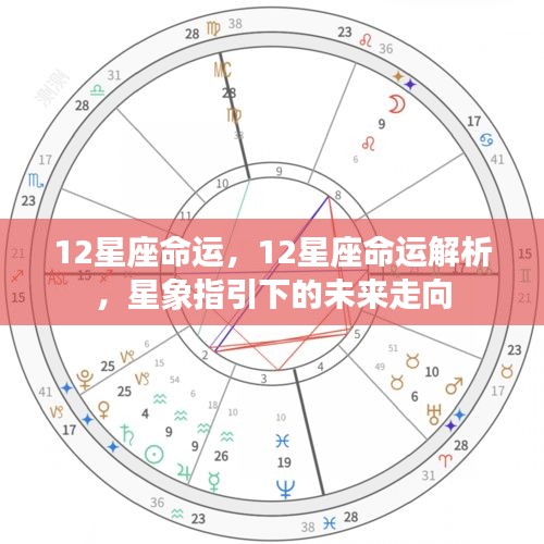 星象指引下的未来走向，揭秘十二星座的命运解析