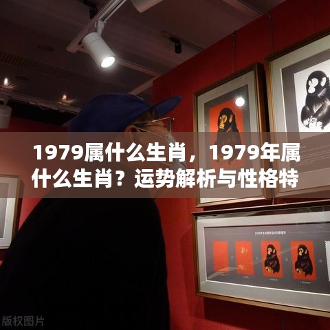 1979年属羊人的运势解析与性格特征，生肖羊深度解读