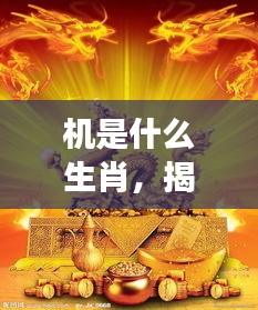 揭秘生肖与星座交汇之谜，机之生肖运势解析与神秘运势揭秘