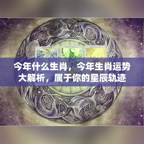 今年生肖运势解析，星辰轨迹下的个人运势展望