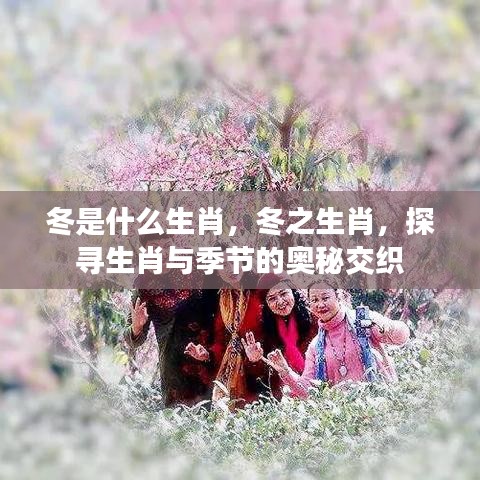 冬之生肖揭秘，生肖与季节的奥秘交织探寻