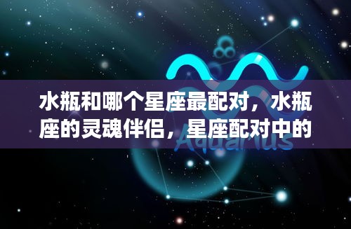 水瓶座最佳配对星座，寻找星座配对中的完美搭档，水瓶座的灵魂伴侣是谁？