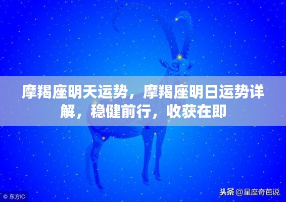 摩羯座明日运势详解，稳健前行，收获在即的运势展望