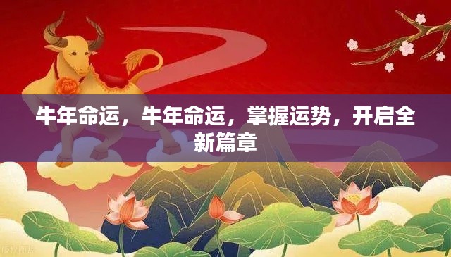 牛年运势揭秘，掌握命运之轮，开启全新篇章之旅