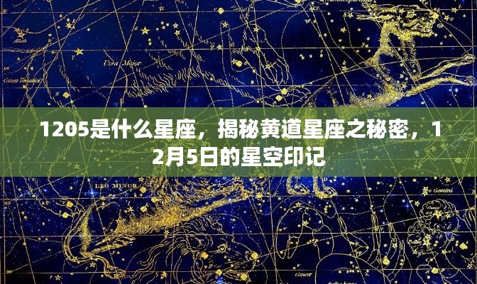 揭秘黄道星座之谜，星空印记下的12月5日与星座解析