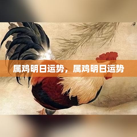 属鸡明日运势详解