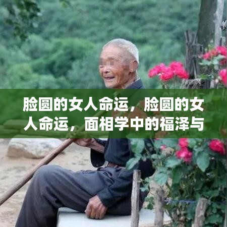 面相学视角下的脸圆女性命运与福泽人生轨迹探讨