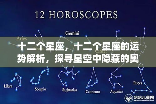 揭秘星空奥秘，十二星座运势深度解析