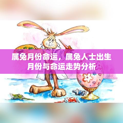 属兔人士出生月份与命运走势详解