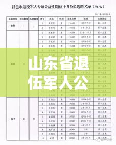 山东省退伍军人公益岗位最新动态，荣耀再现，拓宽退役军人职业道路