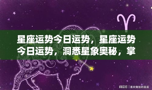 今日星座运势解析，洞悉星象奥秘，把握个人好运轨迹