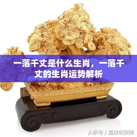 一落千丈的生肖运势解析