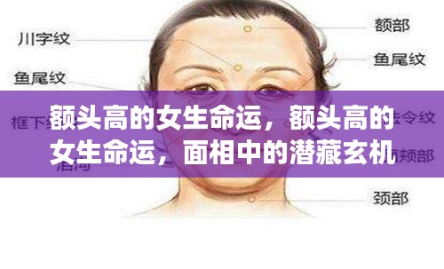 额头高的女生命运，面相中的潜藏玄机与人生轨迹揭秘