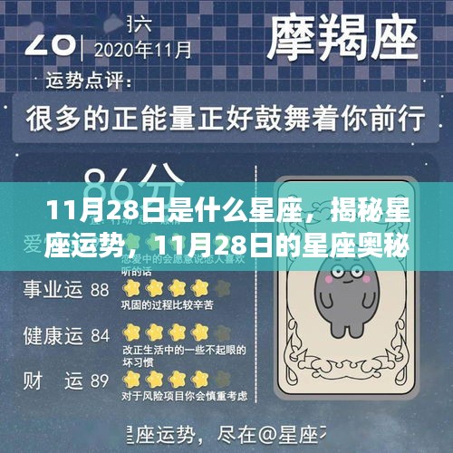 揭秘星座运势，11月28日的星座奥秘与运势分析