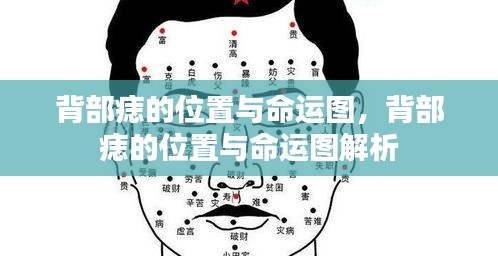 背部痣的位置与命运解析图，揭示命运与痣相的联系