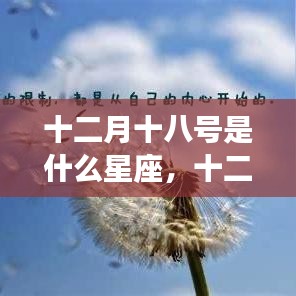 解签 第10页