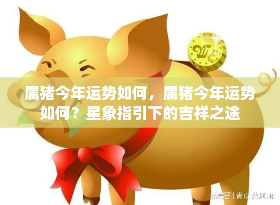 属猪今年运势展望，星象指引下的吉祥之路