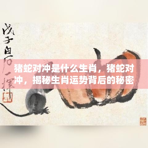 猪蛇对冲揭秘生肖运势背后的秘密与生肖运势分析