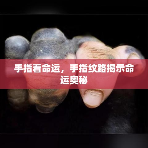 手指纹路揭示命运奥秘，从手指看命运走向