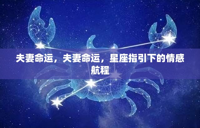 星座指引下的夫妻命运情感航程探索