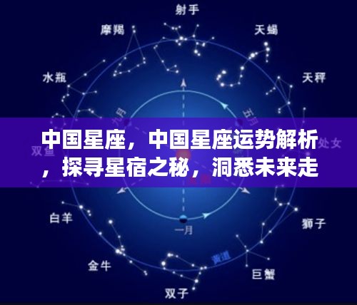 中国星座运势解析，探寻星宿奥秘，洞悉未来走向