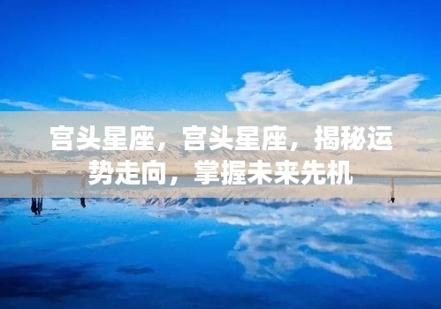 宫头星座揭秘，掌握运势走向，引领未来先机