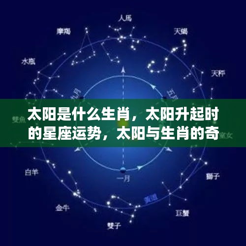 太阳生肖与星座运势揭秘，生肖与星座交汇的奇妙缘分