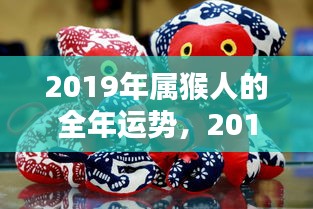 2019年属猴人的全年运势概览