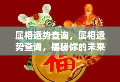 揭秘属相运势，未来走向查询与预测