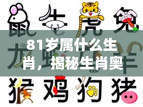 揭秘生肖奥秘，探寻81岁背后的生肖传奇——属相揭晓！