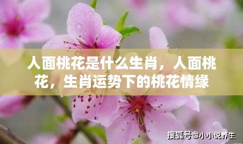 比张比李