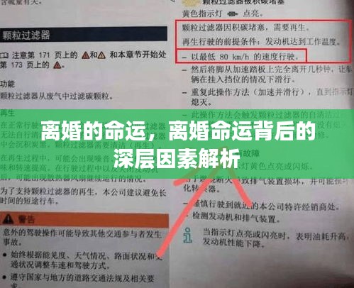 离婚命运揭秘，深层因素解析与探讨