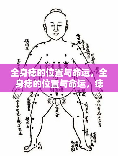 痣相揭秘，全身痣的位置与命运，洞悉人生运势走向