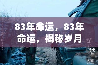 揭秘岁月流转中的机遇与挑战，解读命运之轮下的83年人生轨迹