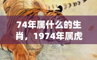 1974年属虎人的生肖运势详解