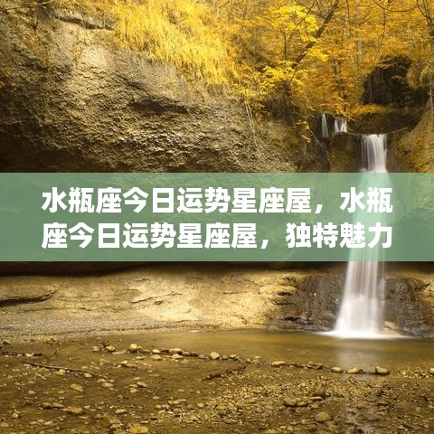 水瓶座今日运势星座屋，独特魅力闪耀，机遇与挑战并存的日子