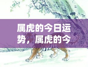 属虎今日运势详解