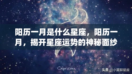 阳历一月星座揭秘，摩羯座独领风骚，揭开星座运势神秘面纱