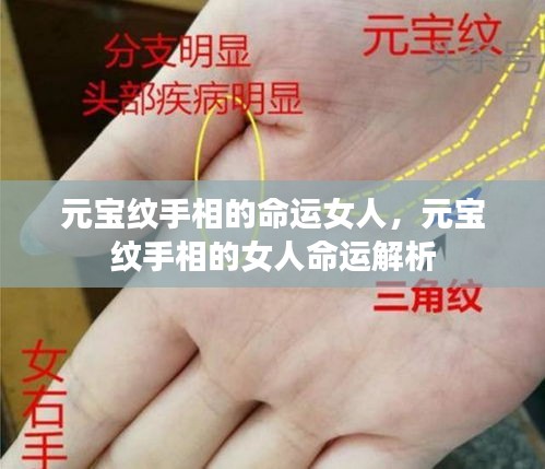 元宝纹手相解析，女性命运中的财富与人生轨迹