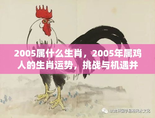 2005年属鸡人的生肖运势与挑战机遇并存