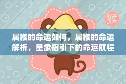 属猴人的命运航程，星象指引下的深度解析与探索