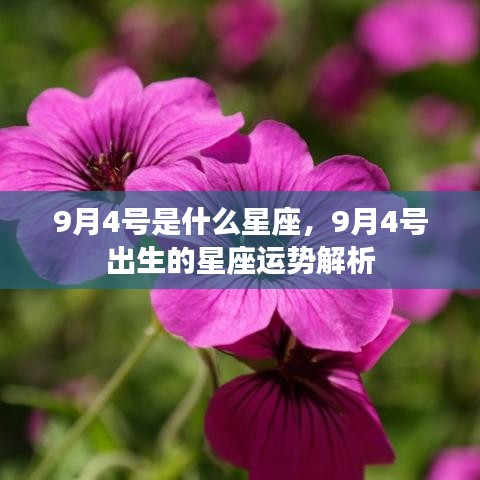 9月4号星座运势揭秘，天赋异禀的出生日运势解析